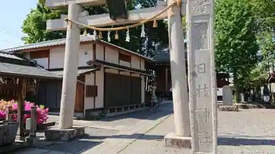 日枝神社の鳥居