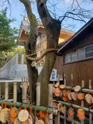 雲仙温泉神社の自然