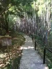 神龍八大龍王神社の建物その他