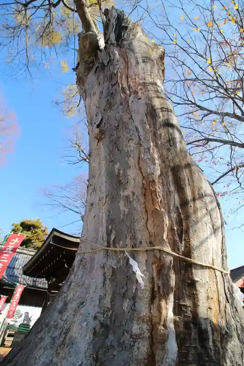 科野大宮社(長野県)