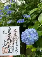 高幡不動尊 金剛寺(東京都)