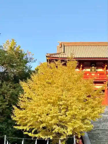 鶴岡八幡宮(神奈川県)