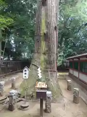 一言主神社(茨城県)