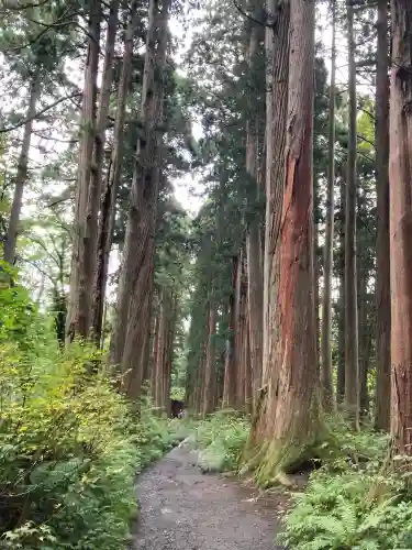 戸隠神社奥社(長野県)