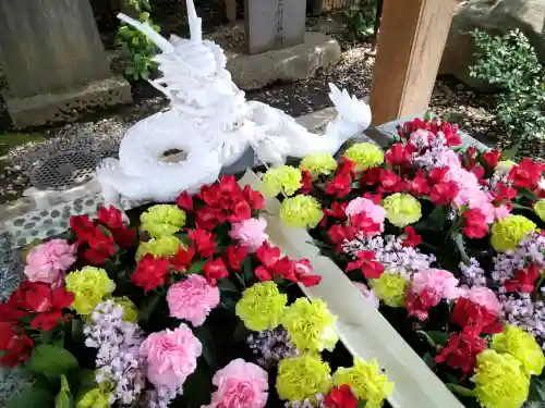 田無神社(東京都)
