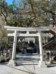 御霊神社の鳥居