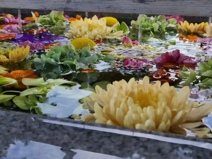 豊景神社の手水舎