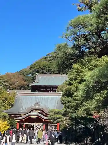 鶴岡八幡宮の本殿・本堂