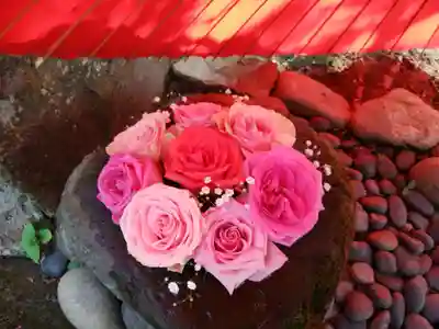 帯廣神社の手水舎