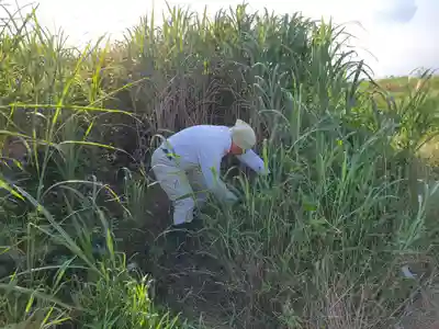 伏木香取神社(茨城県)
