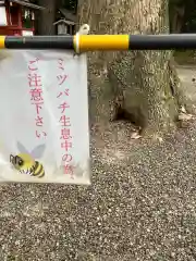 津島神社(愛知県)