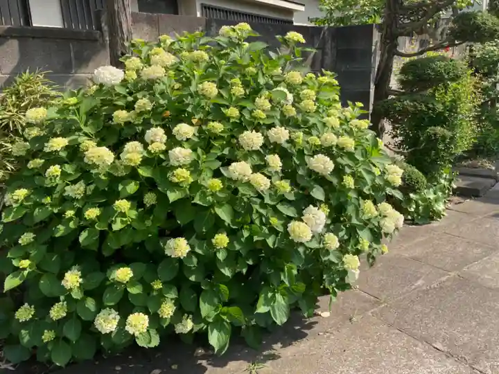 九品寺(神奈川県)