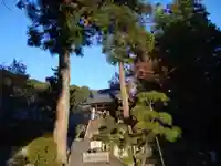 正眼寺(岐阜県)