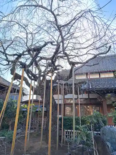 玉蔵院(埼玉県)