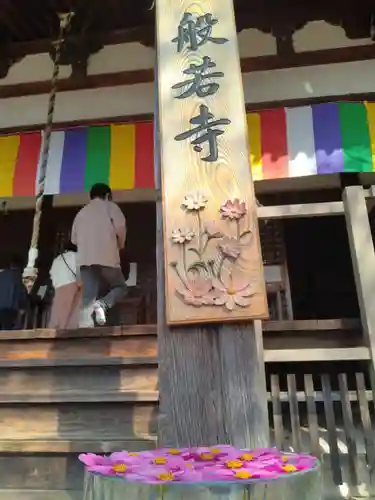 般若寺 ❁﻿コスモス寺❁(奈良県)