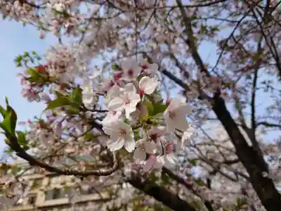 岐阜護國神社(岐阜県)