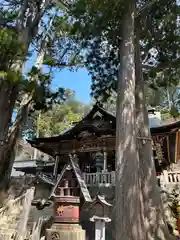 三峯神社(埼玉県)