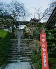 善峯寺(京都府)