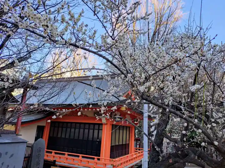 花園神社(東京都)