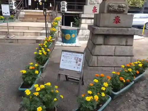 高円寺氷川神社の庭園