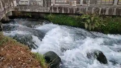 富士山本宮浅間大社(静岡県)