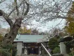 報国寺(神奈川県)