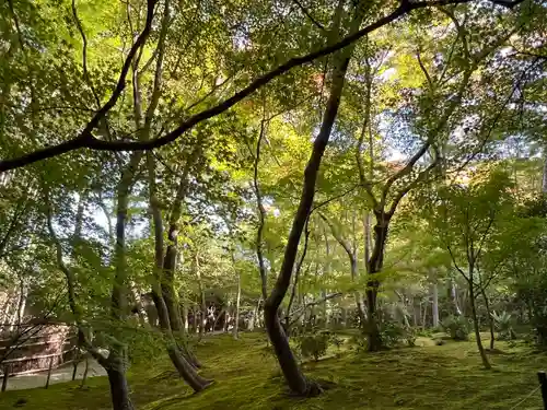 祇王寺(京都府)