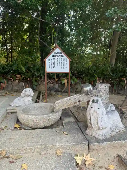 弓弦羽神社(兵庫県)