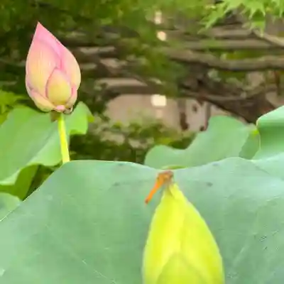 伊勢の国 四天王寺(三重県)