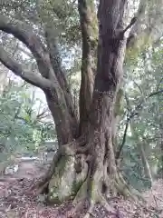 白山神社(福井県)