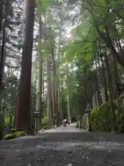 三峯神社(埼玉県)