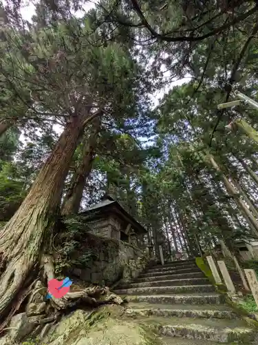 東堂山 満福寺（昭和羅漢）の建物その他