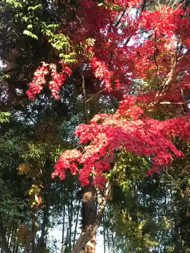 遠州信貴山別院（毘沙門堂）の自然