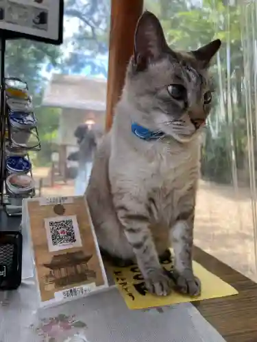 白鬚神社(宮崎県)