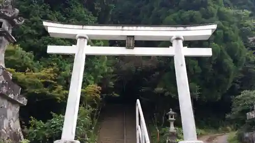 幣立神宮の鳥居