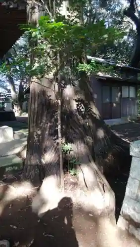 熱田神社の建物その他