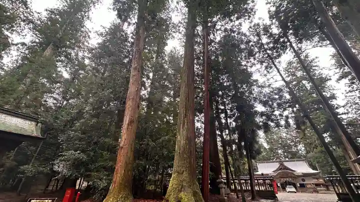 伊和神社(兵庫県)