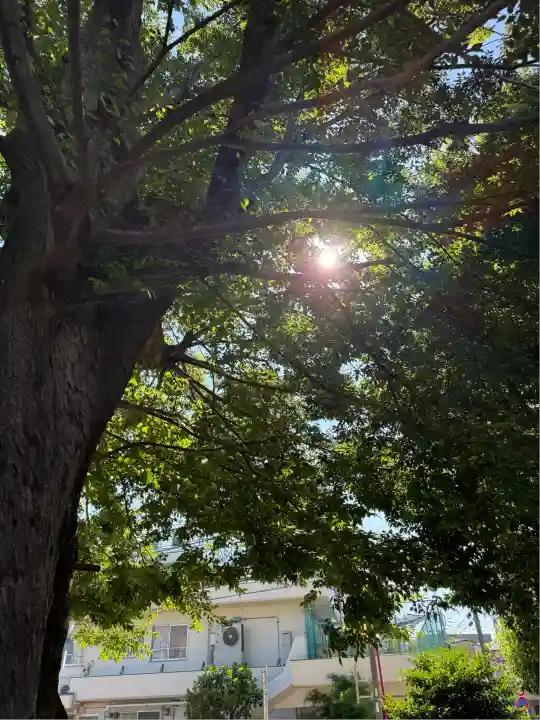 滝野川八幡神社(東京都)