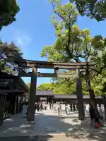 明治神宮の{uncategorized: "未分類", other: "その他", undefined: "問題あり", building: "その他建物", grave: "お墓", sacred_gate: "鳥居", guardian: "狛犬", statue: "像", buddha: "仏像", history: "歴史", nature: "自然", garden: "庭園", animal: "動物", pagoda: "塔", temizu: "手水舎", mountain_gate: "山門・神門", sanctuary: "本殿・本堂", subordinate: "末社・摂社", art: "芸術", scenery: "景色", jizo: "地蔵", ema: "絵馬", goshuin: "御朱印", omikuji: "おみくじ", items: "授与品その他", amulet: "お守り", goshuincho: "御朱印帳", eats: "食事", festival: "お祭り", votive_dance: "神楽", shichigosan: "七五三参", wedding: "結婚式", experience: "体験その他", initially: "初詣", around: "周辺", anti_infection: "感染症対策"}