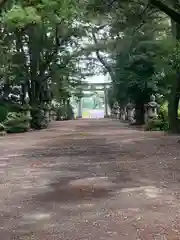 鹿嶋神社(愛知県)