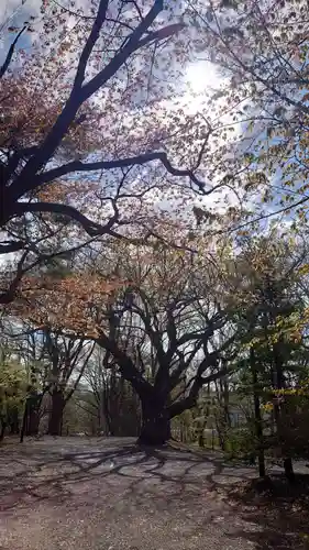 相馬神社(北海道)