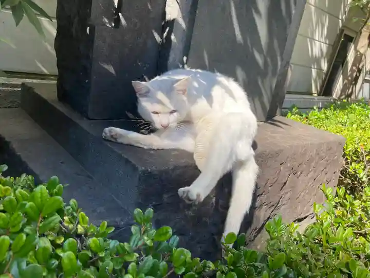 城岡神社の動物