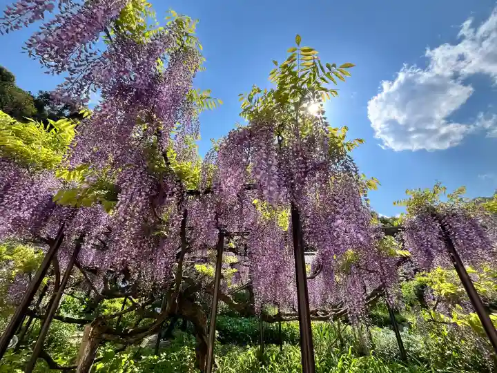 白毫寺熊野権現社(兵庫県)