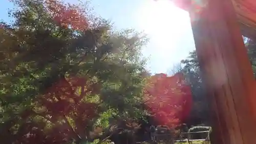 長壽寺（長寿寺）(神奈川県)