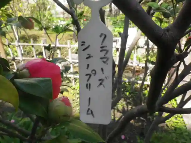 大巧寺のその他建物