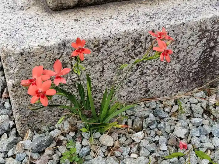 久々知須佐男神社の自然