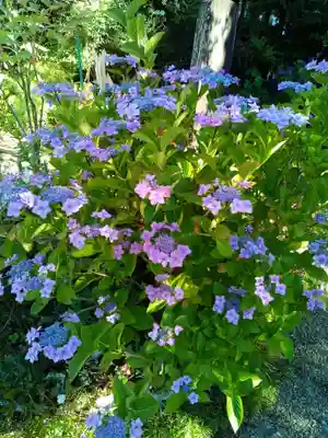 妙心院(宮城県)