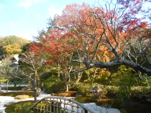 浄妙寺の庭園