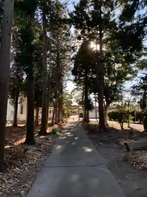 下熊野神社(千葉県)