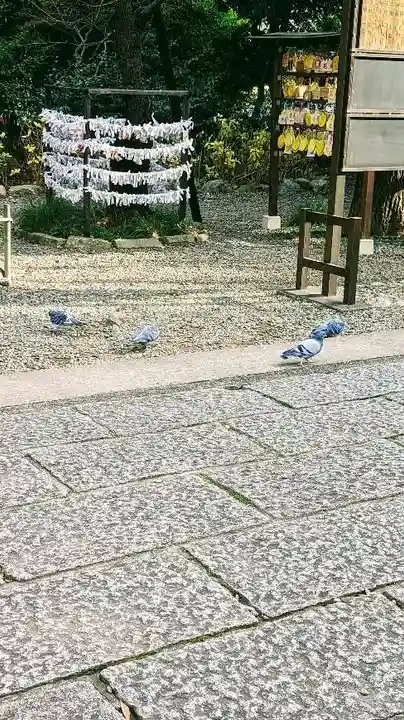 菊田神社の動物